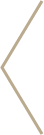 Left Carousel Arrow